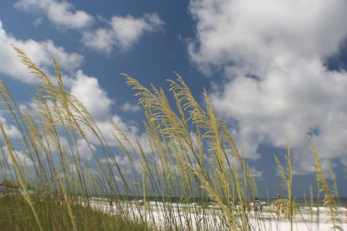 SIESTA KEY por zizzybaloobah