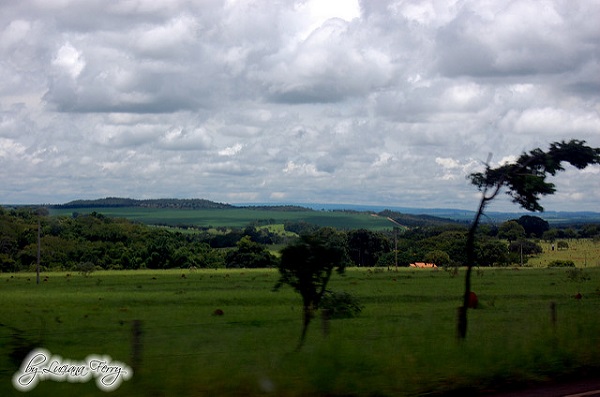 caldas