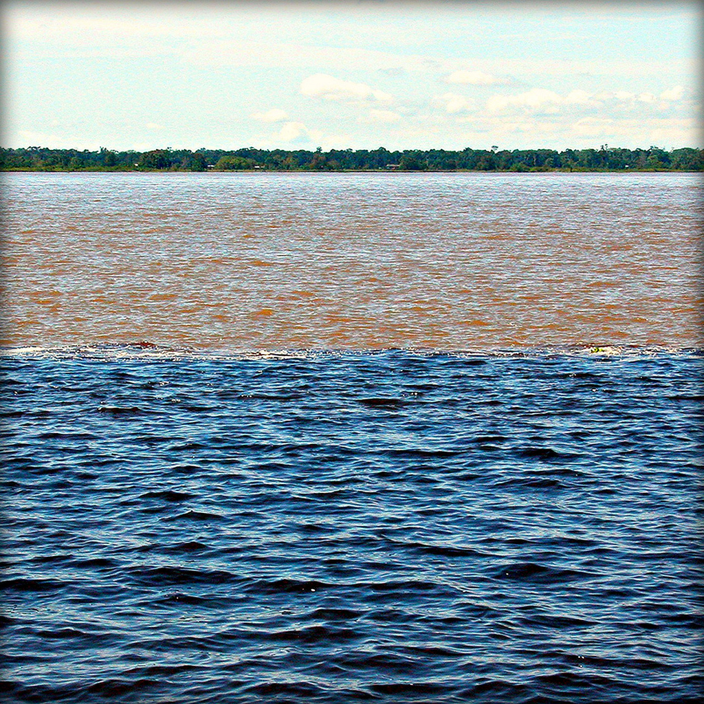 RIO NEGRO E SOLIMOES por Ametxa