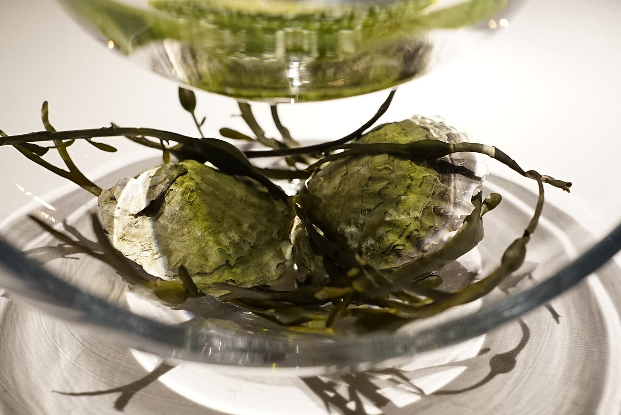 Maaemo1372_(15575386038)