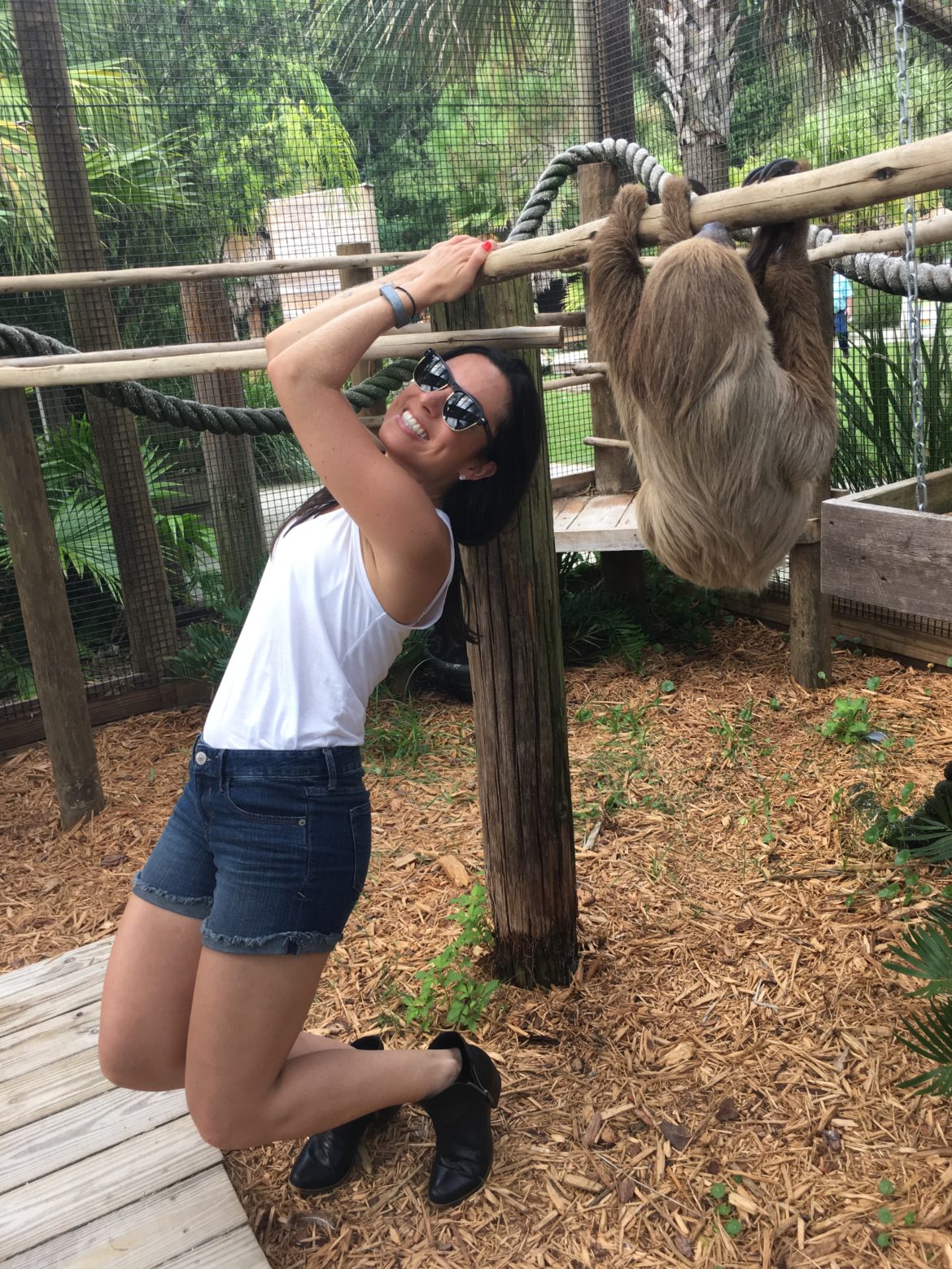 Zoológico em Kissimmee