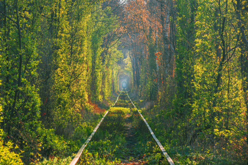 faca-caminhada-virtual-5-trilhas-redor-mundo