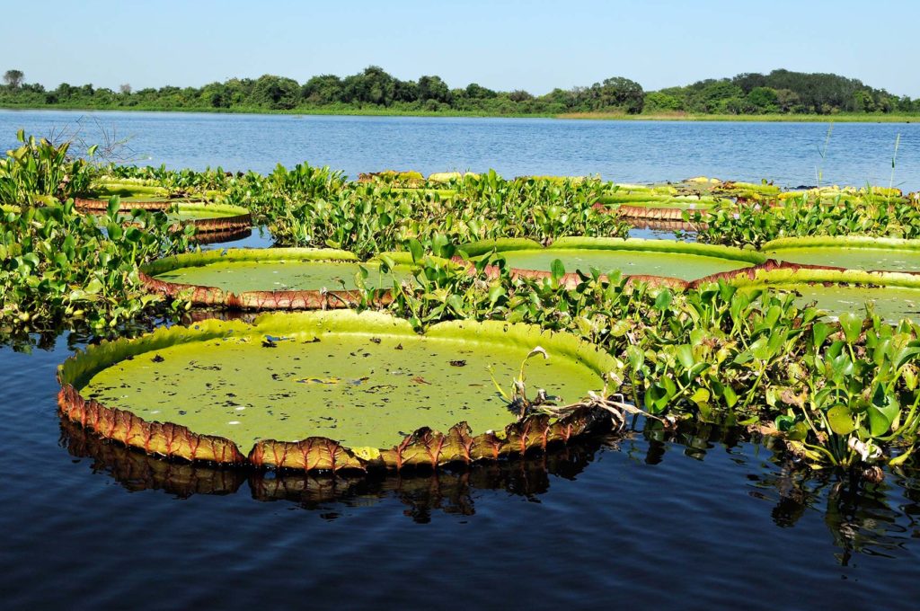 pesquisa-ajuda-turismo-de-mato-grosso-do-sul-a-captar-recursos