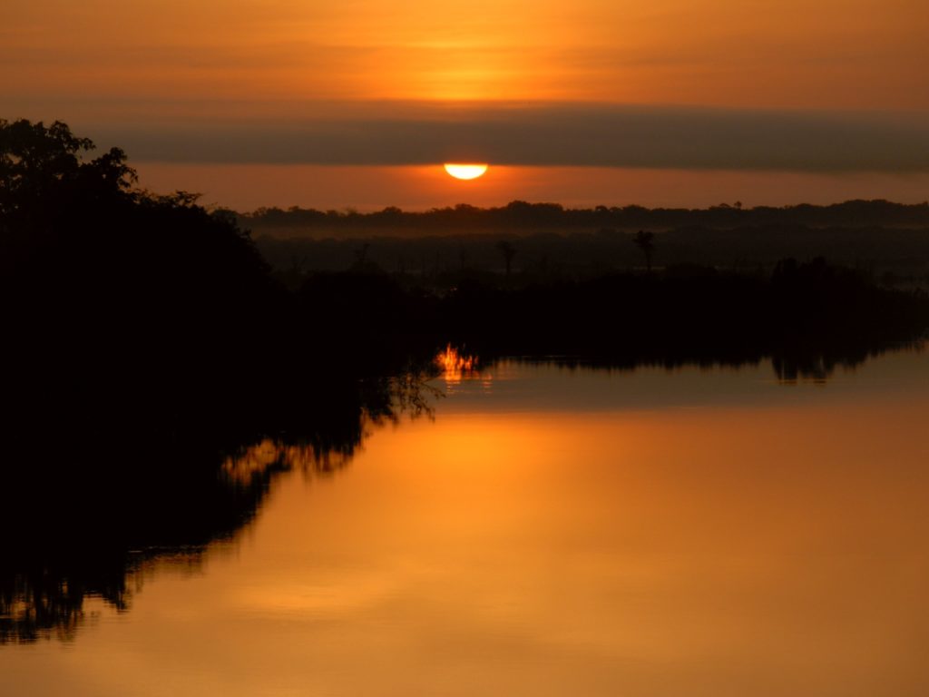 site-oferece-visita-virtual-a-regiao-amazonica-aos-internautas