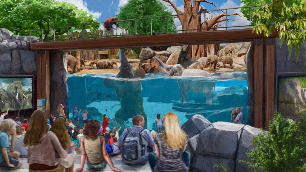 com-foco-em-conservacao-bioparque-do-rio-e-nova-opcao-turistica