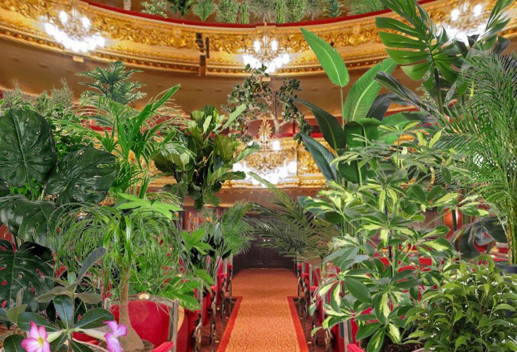 concerto-para-plantas-em-barcelona-ressalta-absurdo-da-condicao-humana-na-era-do-coronavirus