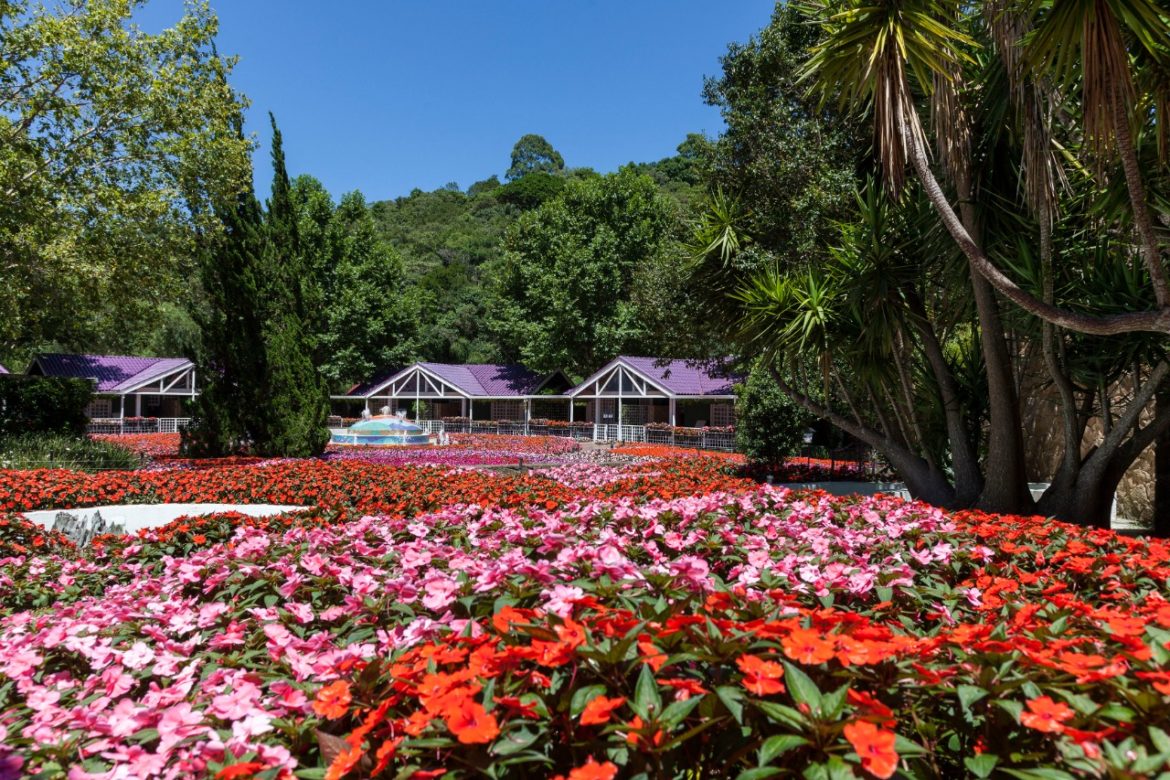 Unique Garden: história e natureza