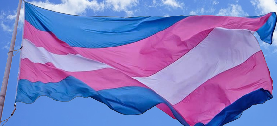 Accor celebra Dia Internacional da Visibilidade Trans
