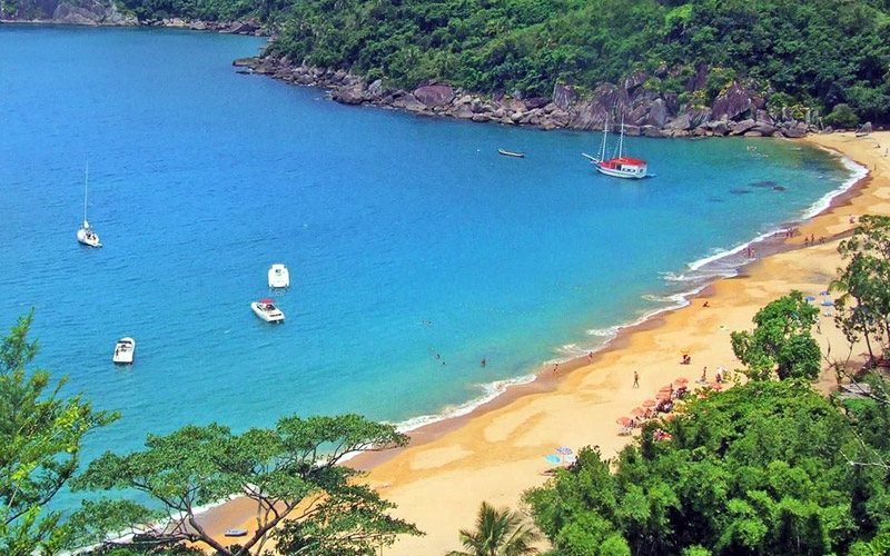Ilhabela lança guia e exposição sobre espécies marinhas