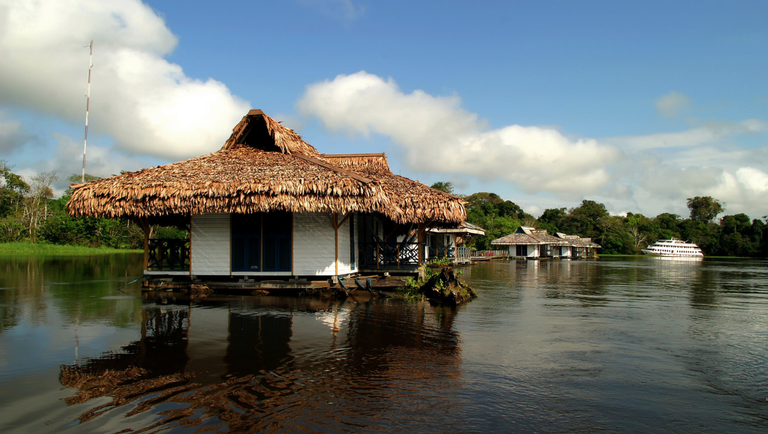 Hotel de Floresta: o local ideal para quem deseja uma pausa em meio à natureza
