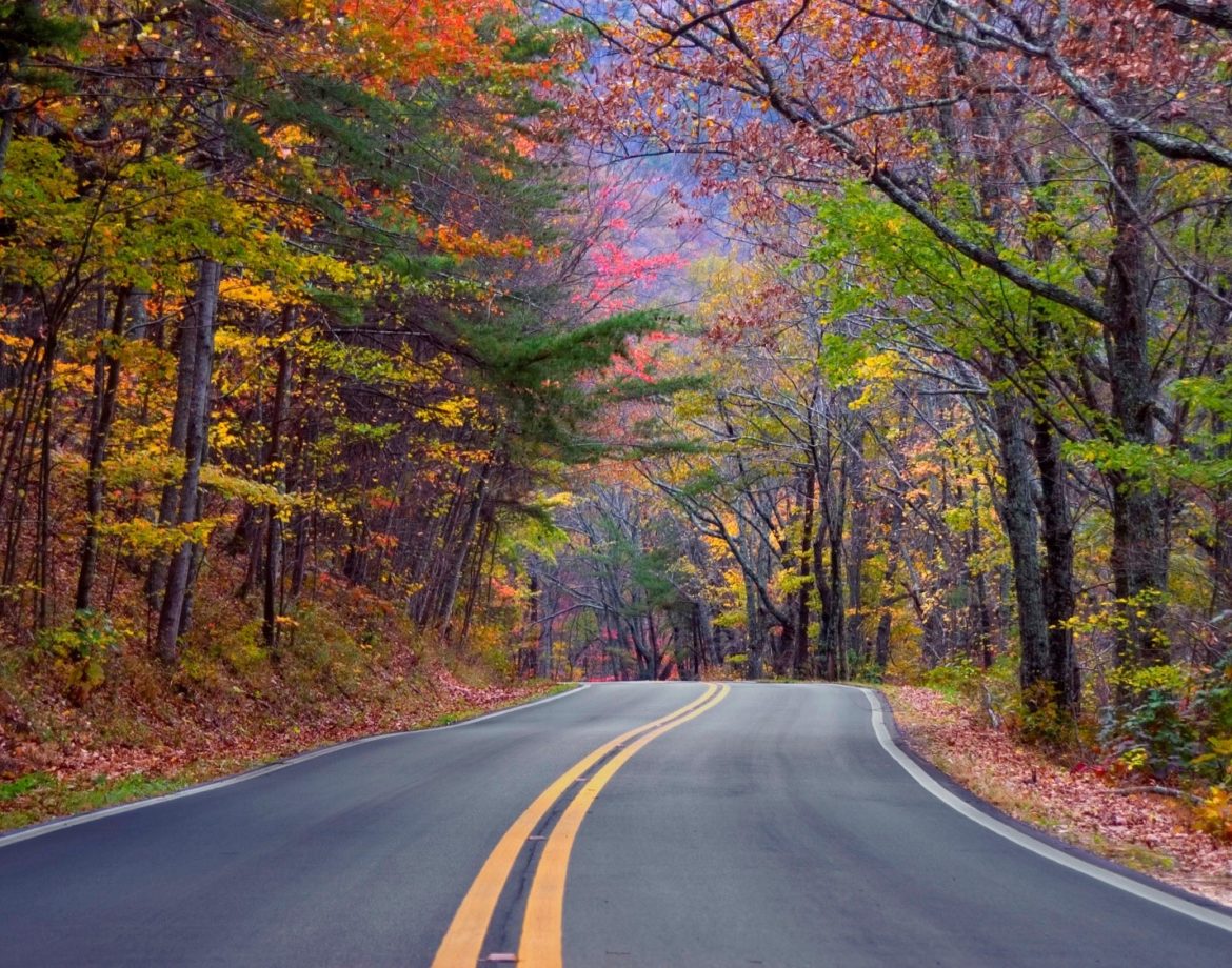 Roteiro: Road Trip que cruza o Sul dos Estados Unidos