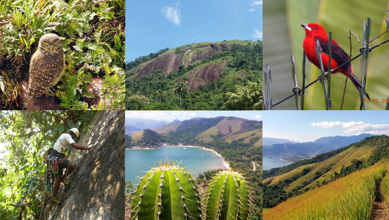 Parque Natural de Angra dos Reis receberá investimento de 10 milhões