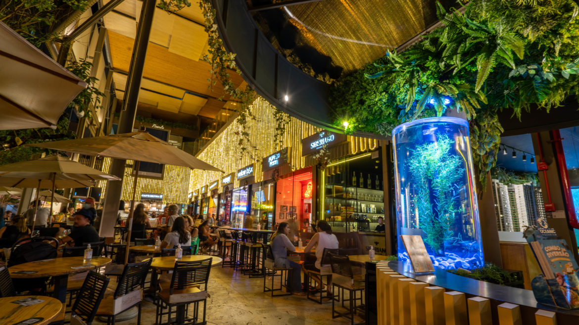 Conheça restaurantes de Santa Catarina que transformam lixo orgânico em adubo