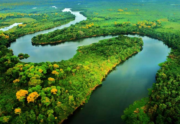 10 motivos para visitar a Amazônia