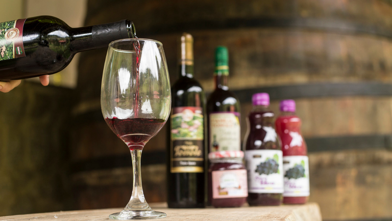 Reconhecimento do Sommelier como profissão fortalece a gastronomia nacional