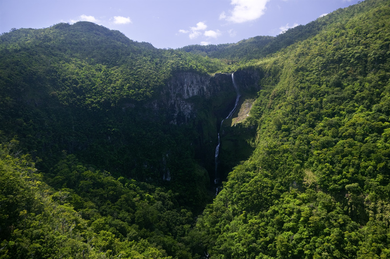 Accor reforça suas iniciativas no Dia Mundial do Planeta Terra