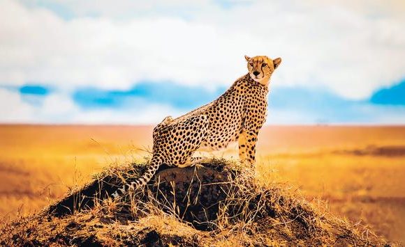 National Geographic Expeditions anuncia programação de viagens terrestres exclusivas para 2023