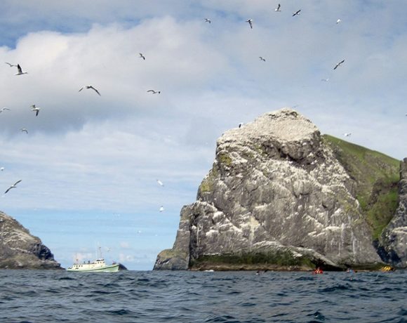 Turismo sustentável: abertura de Alcatrazes para o turismo