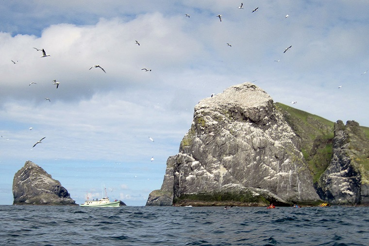 Turismo sustentável: abertura de Alcatrazes para o turismo