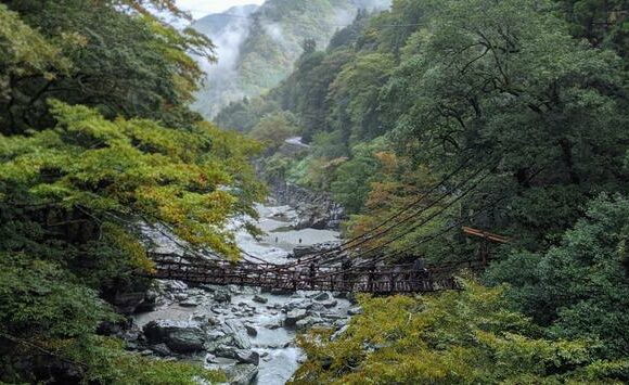 Japão suspende requisitos de teste COVID para viajantes vacinados