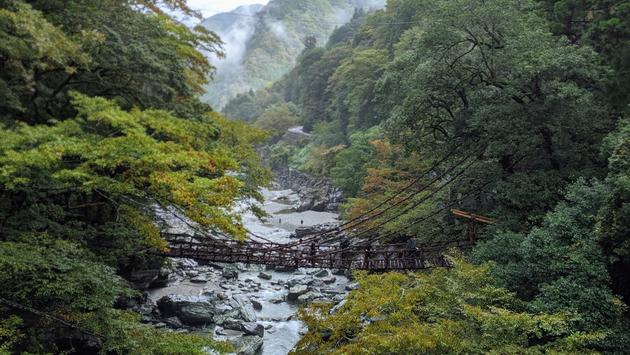 Japão suspende requisitos de teste COVID para viajantes vacinados