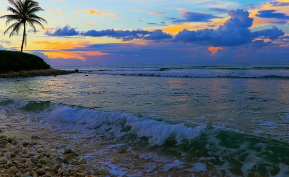 Jamaica ganha três prêmios no World Travel Awards Caribe e Américas 2022