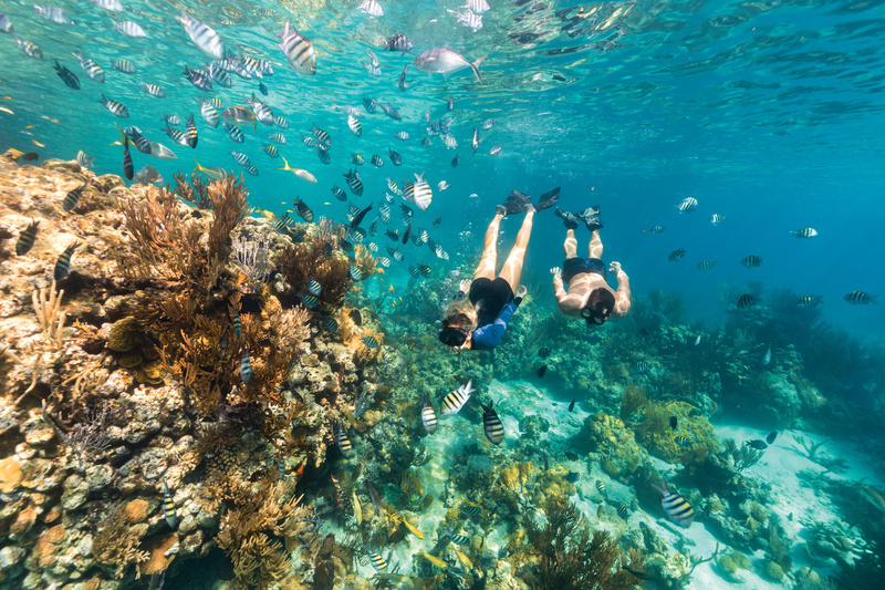 Confira 5 novidades das Bahamas