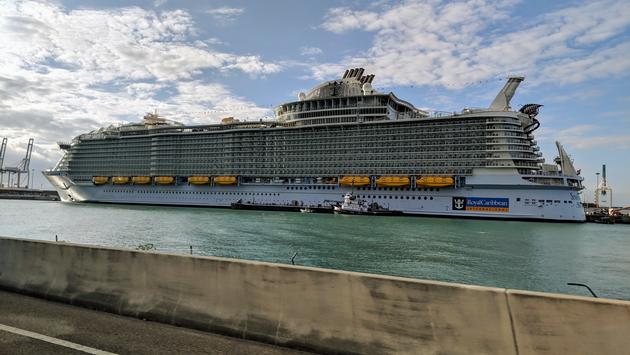Royal Caribbean anuncia cruzeiros no Caribe 2024-2025
