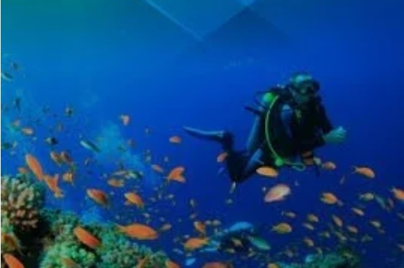 Mergulho no refúgio ecológico de Alcatrazes
